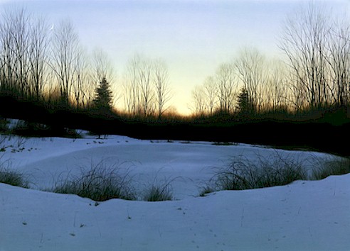 http://www.shafferfineart.com/FrozenPond.jpg