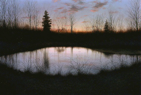 NIght_Pond