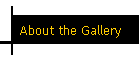 About the Gallery