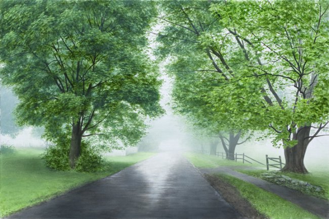 Early May Fog